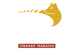 logo World Heritage Cruises white