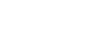 Adventure pumps logo text