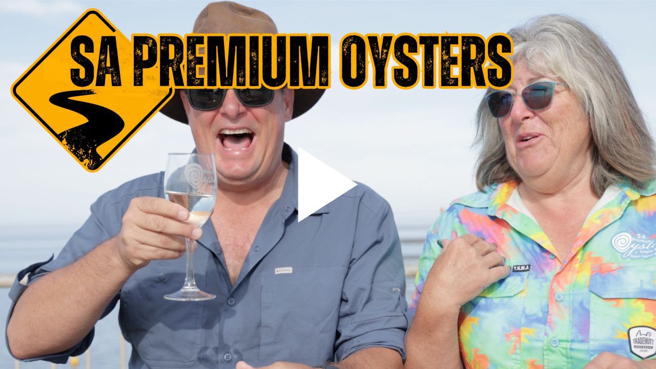 SA Premium Oysters